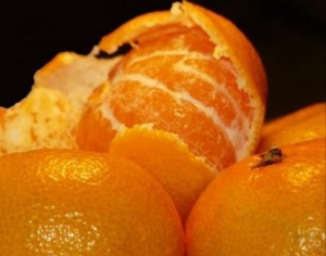 63 ��Ѳ����� ����Ĳ����� �����