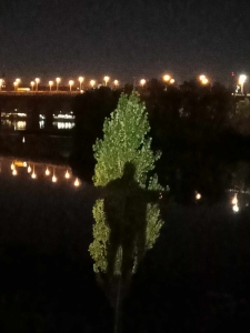 �Ѳ�ͪ