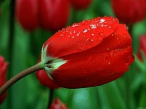��в� �˲���� ��� �����