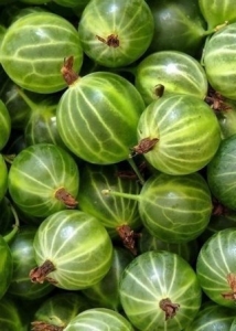 �в��� ���²���� � ���������