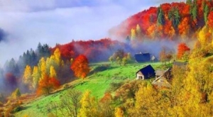 258 ��Ѳ����� 22 ���������