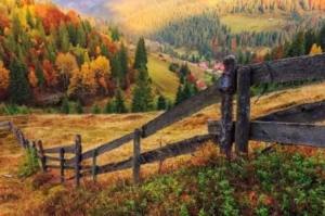 285 ��Ѳ����� 10 ������