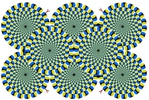 Ѳ���� 2011