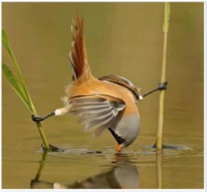 �� ������ �� ������� �²Ҳ
